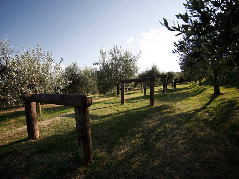 Agriturismo Sanguineto