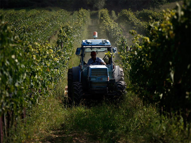 Agriturismo Sanguineto