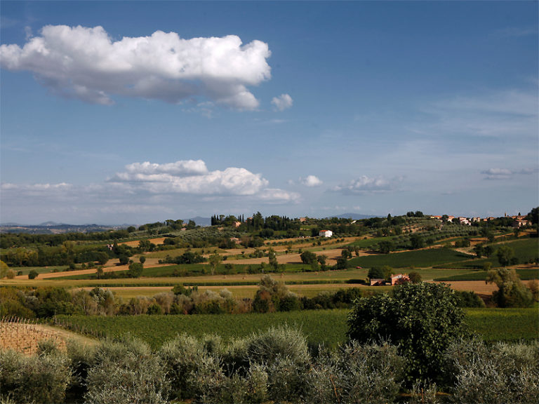 Agriturismo Sanguineto