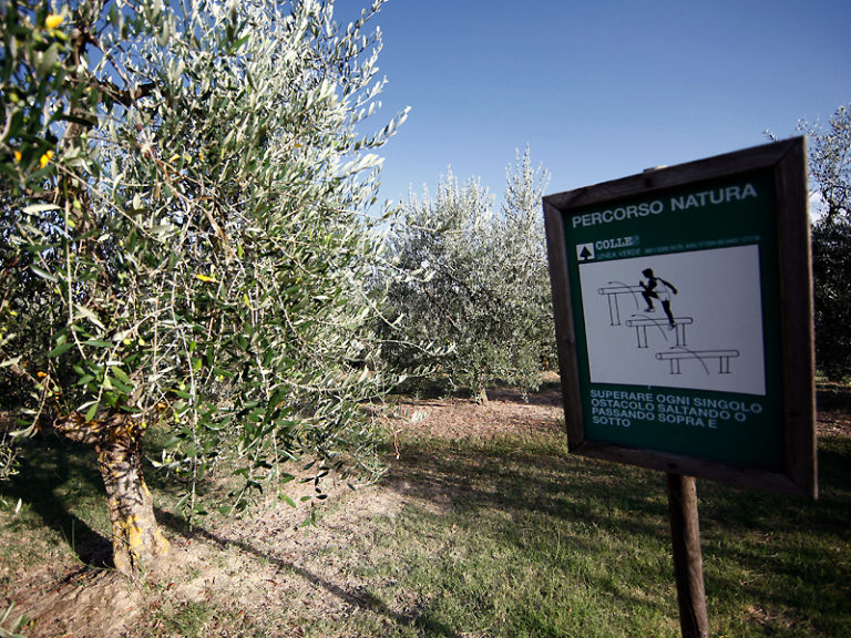 Agriturismo Sanguineto