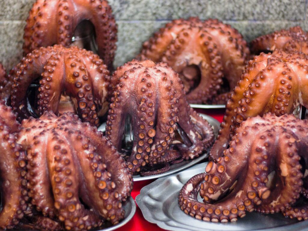 Pulpo - blæksprutte