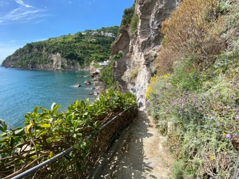 Hotel Delle Ninfe – billede