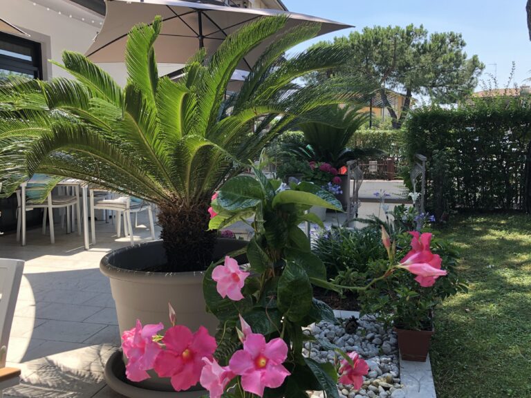 Hotel Alfieri – billede