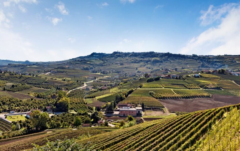 Il Vigneto di Roddi – billede