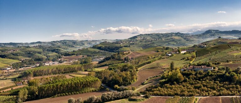 Il Vigneto di Roddi – billede