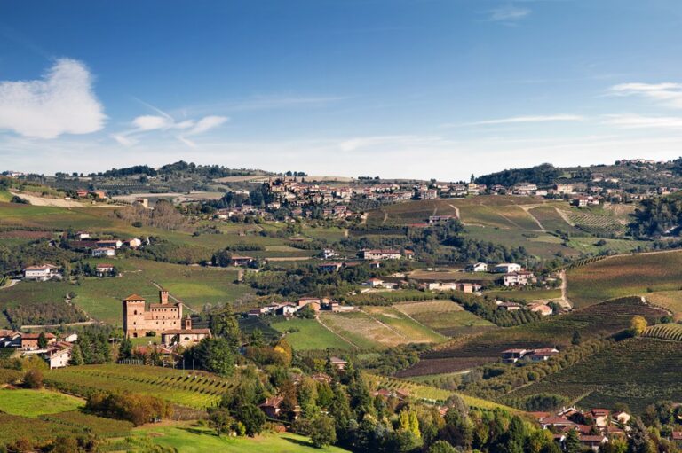 Il Vigneto di Roddi – billede
