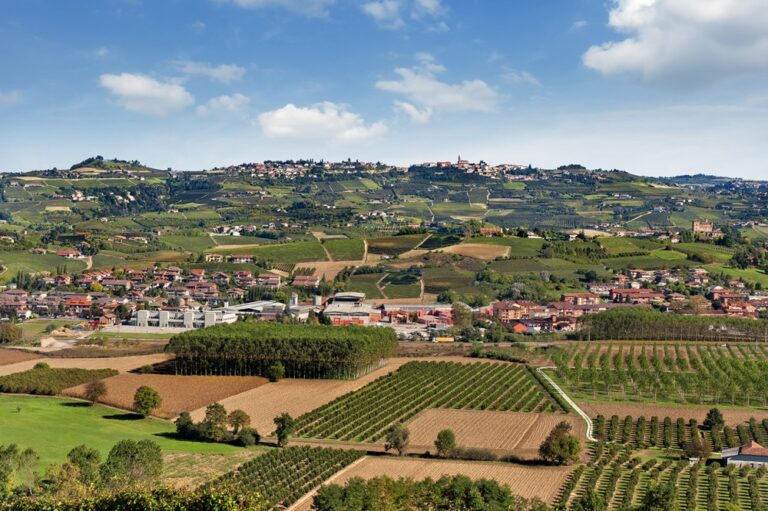 Il Vigneto di Roddi – billede