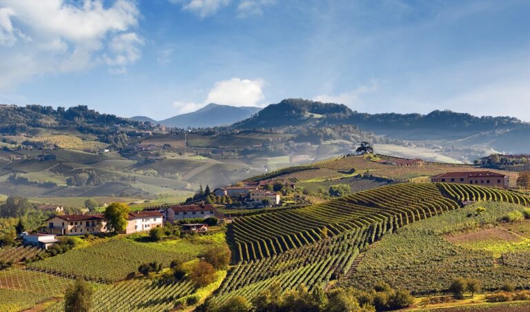 Il Vigneto di Roddi – billede