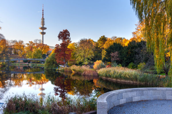 Planten un Blomen i efteråret